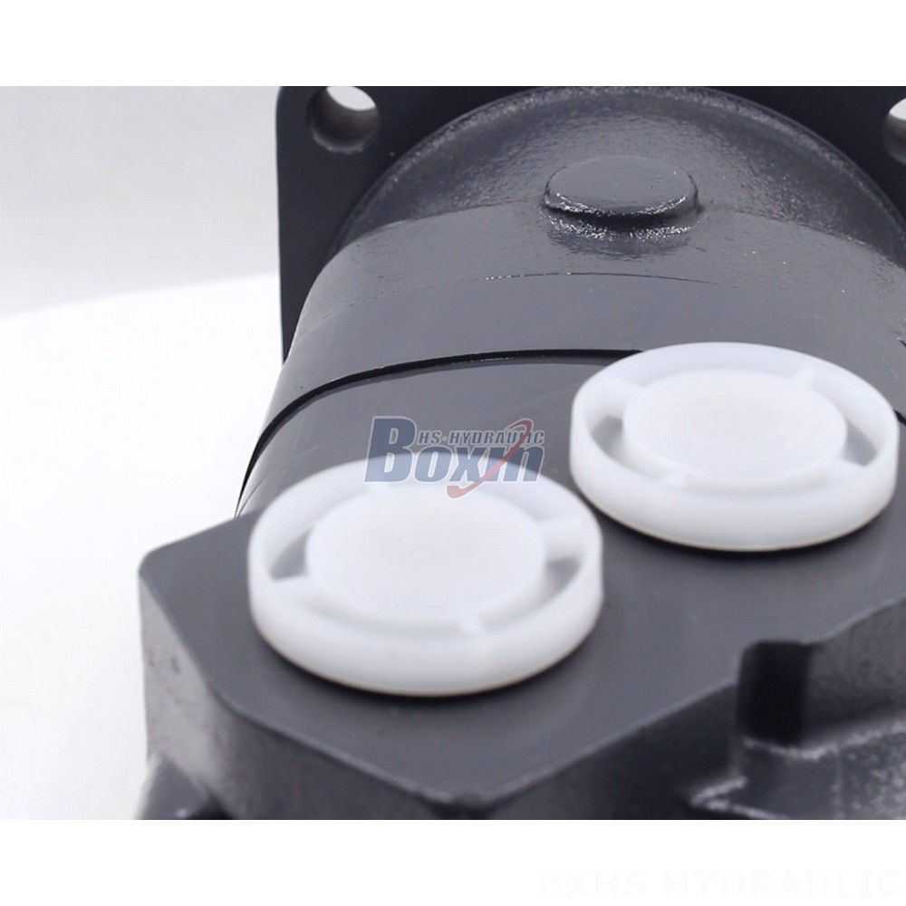 BM6 Cycloid Hydraulic Motor OEM/ODM Services: 195 cc/r, 150 Lpm detail image